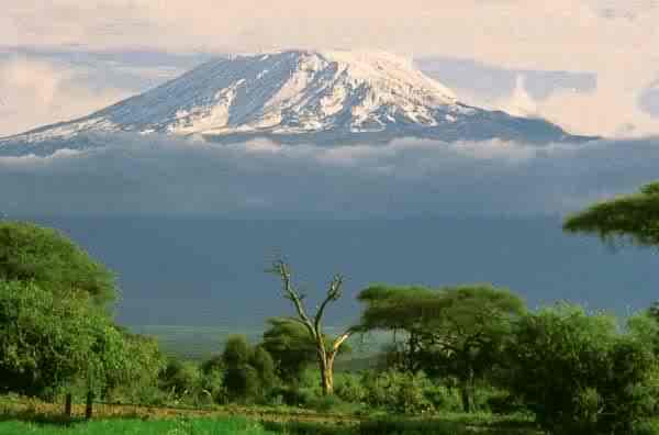 Pic of Kili